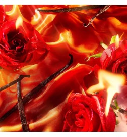 DANGER Essence de Parfum Pour Femme - Rouge | Parfumerie Laura - Livraison Gratuite