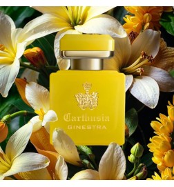 Intense parfum di ginestra 50 ml - Carthusia | Parfumerie Laura - Gratis verzending