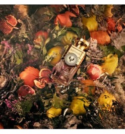 Trajan 100 ml - Electimuss