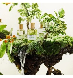 Sœur de citron vert - Liquides Imaginaires Conseils gratuits et envois!