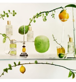 Mandarino upcycled - Liquides Imaginaires Consigli e spedizioni gratuiti!