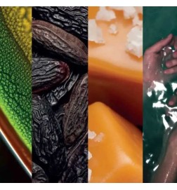 Tigre d'Eau - Pierre Guillaume Consigli e spedizioni gratuiti!