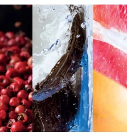 Tigre d'eau - Pierre Guillaume Gratis råd og forsendelser!