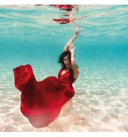 Helioflora - Pierre Guillaume Gratis råd og forsendelser!