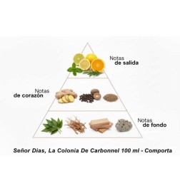 Lord Dias, la colonie Carbonnel 100 ml - Comporta | Parfumerie Laura - Livraison Gratuite