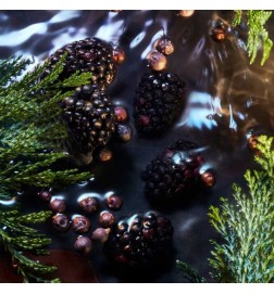 Elysium Noir - Red Advisory e frete grátis!