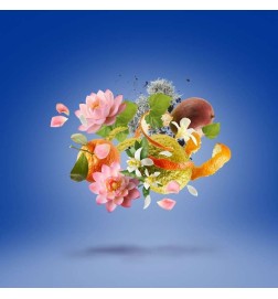 托里诺24  -  Xerjoff 免费咨询和出货量！