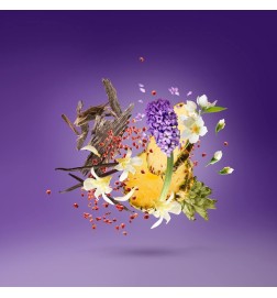 Acento roxo 100 ml - Xerjoff Aconselhamento gratuito e remessas!