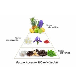 Accent violet 100 ml - Xerjoff Conseils gratuits et envois!