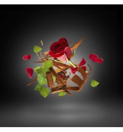 Tony Iommi Deificato - Xerjoff Consigli e spedizioni gratuiti!