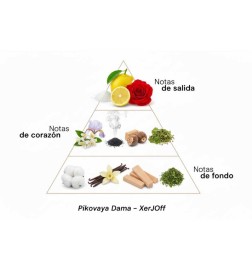 Pikovaya Lady  -  Xerjoff 免费咨询和出货量！