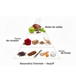 Alexandria orientale - Xerjoff Consigli e spedizioni gratuiti!