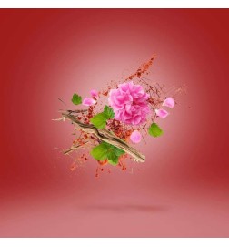 WARDAINA - Xerjoff Kostenlose Beratung und Sendungen!