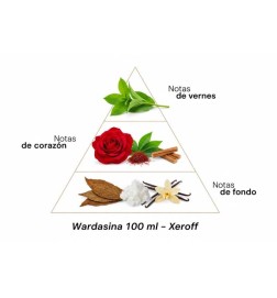 Wardasina  -  Xerjoff 免费咨询和出货量！