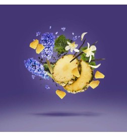 Accellemento - Xerjoff Gratis advies en zendingen!