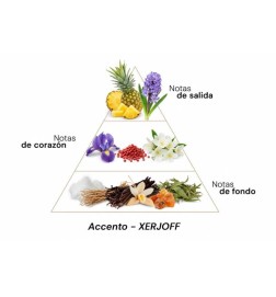 Accélemento - Xerjoff Conseils gratuits et envois!