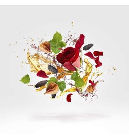 DURAN D. NEO RIO FLUO YELLOW PARFUM - Xerjoff | Perfumery Laura - Free Shipping