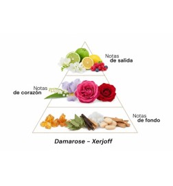 达马罗斯 -  Xerjoff 免费咨询和出货量！