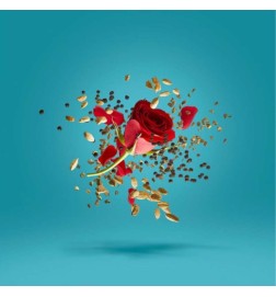 Blend Groovexcape Parfum - Xerjoff | Profumery Laura - Spedizione gratuita