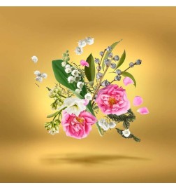 加速过量100毫升 -  Xerjoff