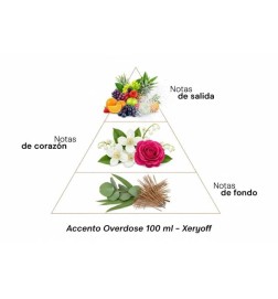 Accelemento overdose 100 ml - Xerjoff