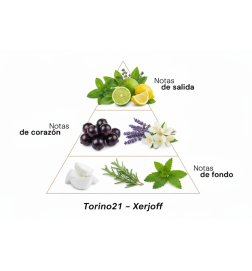 Torino 21除臭喷雾 -  100 mL  -  Xerjoff 免费咨询和出货量！