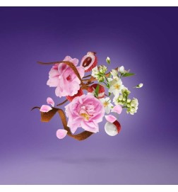 Sopran - Xerjoff Darmowa porada i przesyłki!