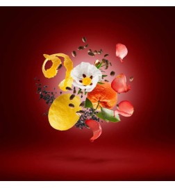 Goldene Moka - Xerjoff Kostenlose Beratung und Sendungen!