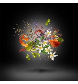 DURAN D. BLACK MOONLIGHT PARFUM - Xerjoff | Perfumery Laura - Free Shipping