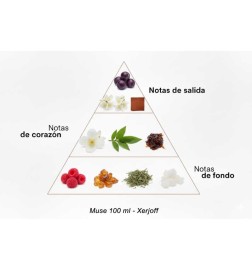 Musa - Xerjoff Aconselhamento gratuito e remessas!