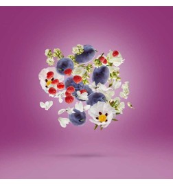 缪斯 -  Xerjoff 免费咨询和出货量！