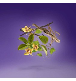 Laylati - Xerjoff Kostenlose Beratung und Sendungen!