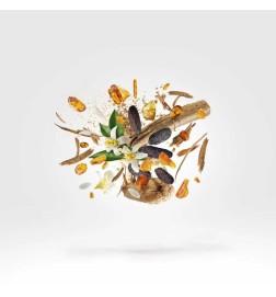 科比 -  Xerjoff 免费咨询和出货量！