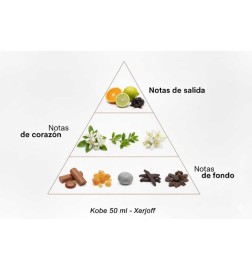 科比 -  Xerjoff 免费咨询和出货量！