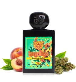 Sprachlose volle flasche - Lorenzo Pazzaglia