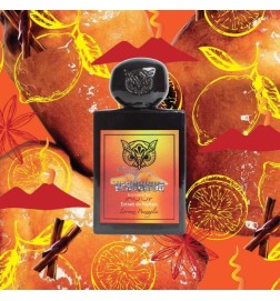 Vesuviuur - Lorenzo Pazzaglia Consigli e spedizioni gratuiti!