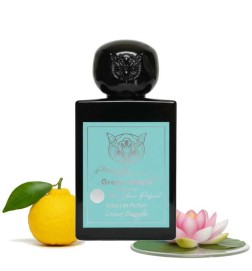 Île verte - Lorenzo Pazzaglia Conseils gratuits et envois!