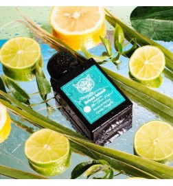 Green Island - Lorenzo Pazzaglia ¡Asesoría y Envíos Gratis!
