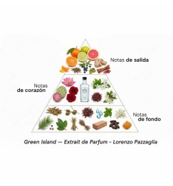 Green Island - Lorenzo Pazzaglia ¡Asesoría y Envíos Gratis!