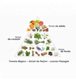 Foresta Magica - Lorenzo Pazzaglia¡Asesoría y Envíos Gratis!