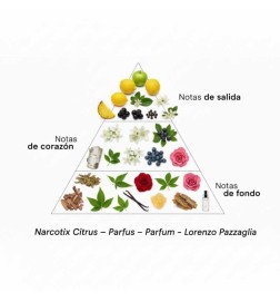 Narcotix Citrus - Lorenzo Pazzaglia