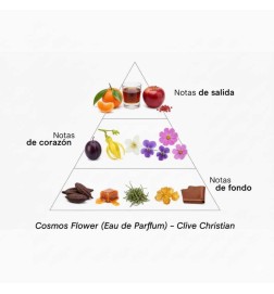 VII Cosmos Flor 50 ml - Clive Christian Aconselhamento gratuito e remessas!