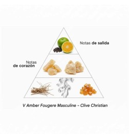 V Amber Fougere Masculine