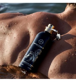 Arabiere Tonka - Montale Paris | Parfumery Laura - Gratis forsendelse