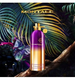 Sensuell Instinct 100ml - Montale Paris Gratis råd og forsendelser!