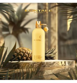 Oud sappirot 100 ml - Montale Paris Consigli e spedizioni gratuiti!