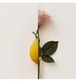 Rosa Limone Extrait von Parfum 50 ml - New Notes