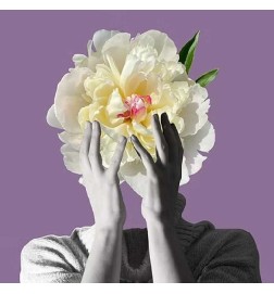 Osmanto Shock extraity of Parfum 50 ml - New Notes