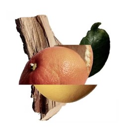 Akigala Mandarin Extração de Parfum 50 ml - New Notes