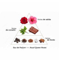 AOUD Queen Roses - Montale Paris Kostenlose Beratung und Sendungen!